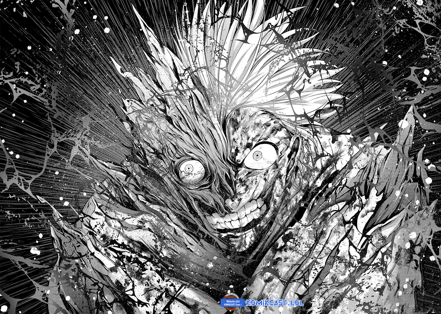 Saihate no Paladin Chapter 63 Gambar 8